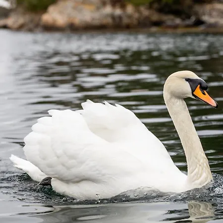 Hotel na wodzie Floating
