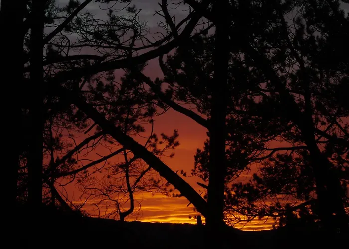 Floating 4* 卑爾根