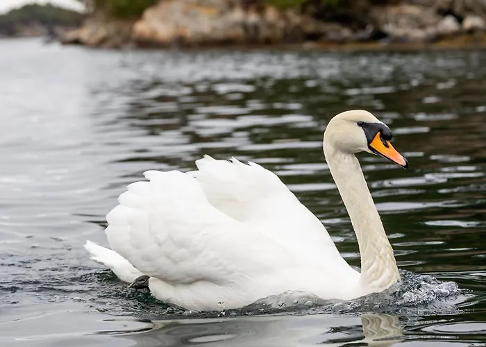 Úszó hotel Floating